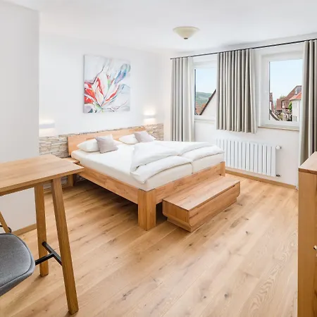 Loewen Hotel Erlabrunn (Wurzburg)
